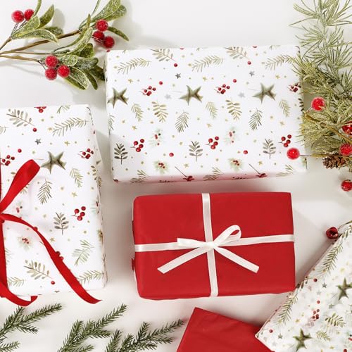 20 Blatt 2 Muster Seidenpapier 50x70cm für Blumenstrauß, Füllmaterial Geschenk Papier Geschenkpapier für Weihnachten Geburtstag Winter Neujahr Geschenkverpackung Bastelzubehör