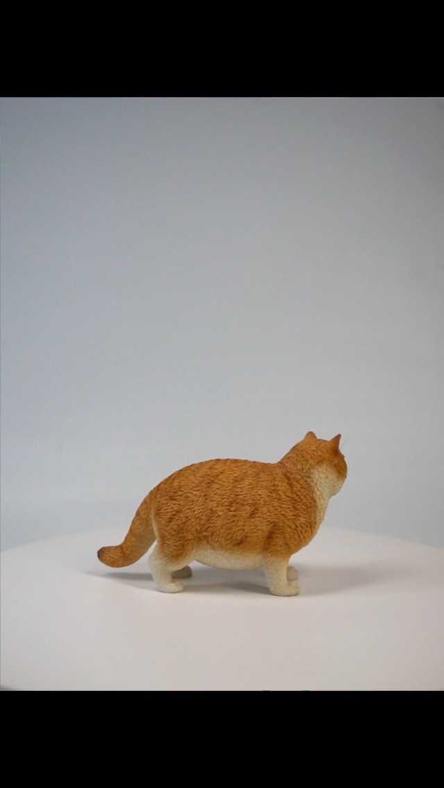 Amazon.com: MMOS X JXK Fat Cat Statue Cat Figurine for Table Decor