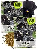 Seed Needs Black Pansy Seeds to Plant a Gothic Butterfly Garden 2 Packs