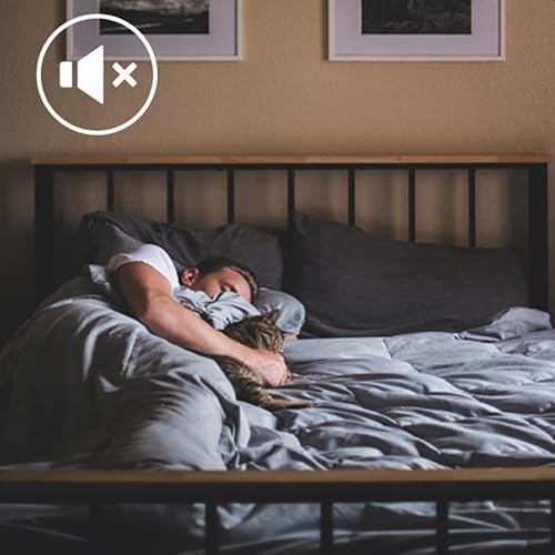 Mondeer 14er-Set Metall Trapezblech, Wellblechplatten für Dach, Dachbleche Trapezblech, Verzinkter Stahl für den Bau von Garagen, Gewächshä usern, Zwingern, 7m², 110 * 46cm, Dunkelgrau