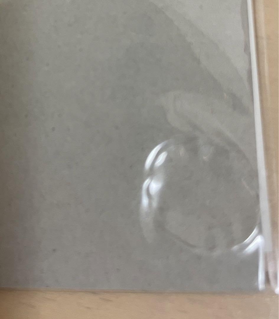 Amazon.co.jp: セカオワ カメレオン chameleon サイン nakajin なか