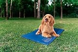 Pet Brands Cooling Non-Toxic Gel Cool Mat Small 40x50x3cm
