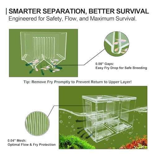 Image of Triple-Chamber Fish Breeder Box for Fish Tank, Guppy Fry Nursery | Pregnant fish give birth up top; newborns drop below out of reach of adult fish. Isolates bettas or shrimp in your aquarium.