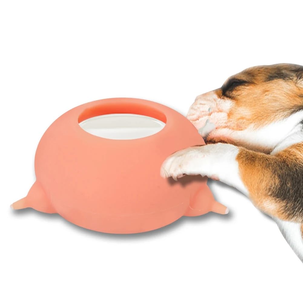 Silicone 3 Tettarelle Simulazione Capezzoli Alimentatore per Animali Domestici Ciotola per Latte A Distributore di per Bevande Infermieristiche per Gattini Neonati