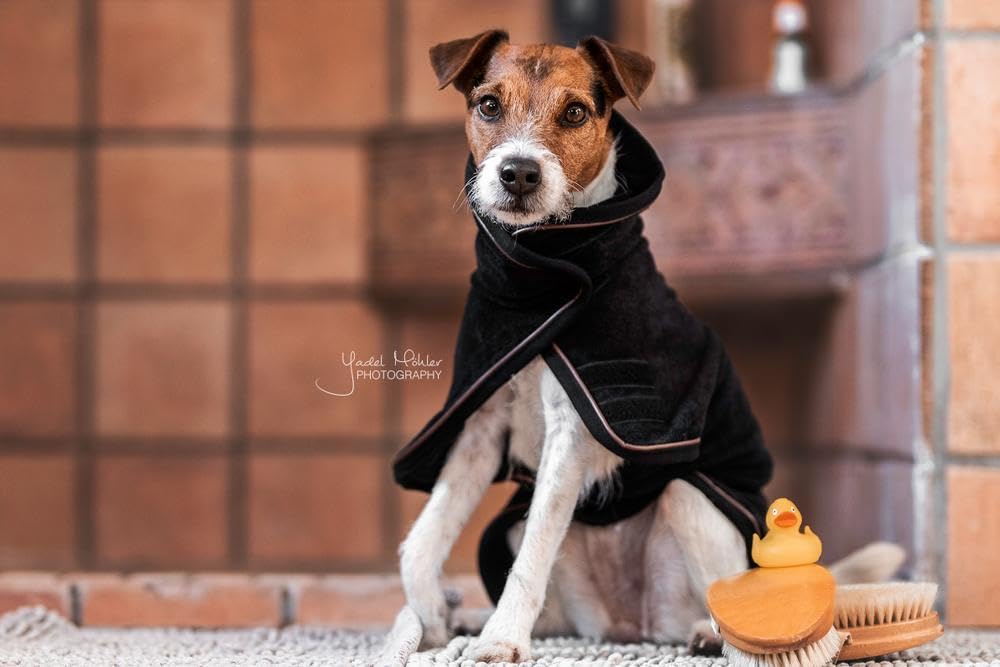Kentucky koc dla psa Dog Coat Towel - czarny, rozmiar: XXS