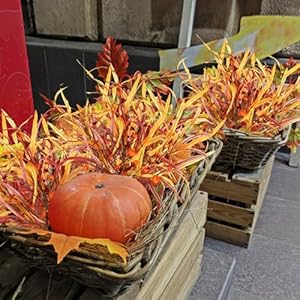 Woosir 6Pcs Thanksgiving Artificial Fall Leaves Berry Pumpkins Stems Fall Floral Picks for Floral Arrangements Fall Foliage Stems Autumn Thanksgiving Home Table Centerpiece Decorations Woosir 6Pcs Thanksgiving Artificial Fall Leaves Berry Pumpkins Stems Fall Floral Picks for Floral Arrangements Fall Foliage Stems Autumn Thanksgiving Home Table Centerpiece Decorations