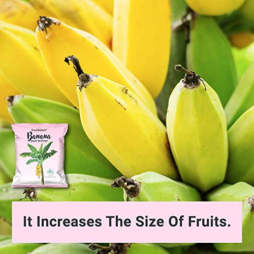 Image of TrustBasket Banana Plant Fertilizer Powder (250 Gm)