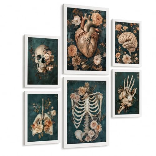 Nacnic Set De 6 Láminas Anatómicas Elegantes Decorar Médico Botánico Con Cráneo, Corazón, Cerebro, Pulmones, Esqueleto Y Mano Ósea, Fondo Verde Petróleo, Flores Beige Tamaño A3 & A4 Marco Blanco