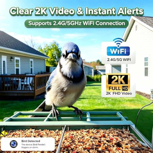 STSVA 2026 Upgraded Window Bird Feeder with Camera for Bird Watching — view 2