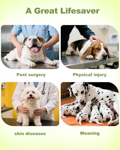 Image of CuteBone Dinosaur Pet Surgery Recovery Suit for Small Dogs Cats, Surgical Onesie for Male Pets, Anti-Licking Wound Suit E-Collar Alternative Post Operative Wear SSF16S