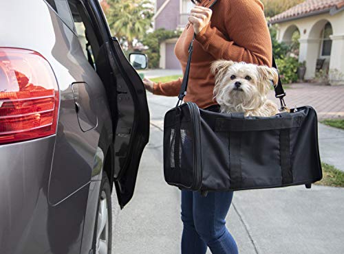 trusty pup easy explorer