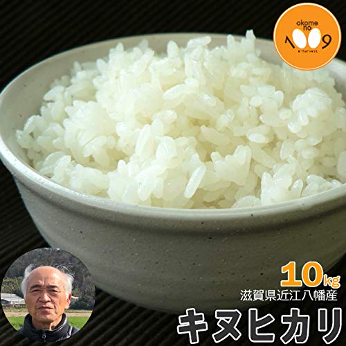 令和6年滋賀県産キヌヒカリ近江米白米10キロ