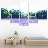 SIGNWIN 5 Panel Canvas Wall Art Modern Art Multicolor Nature Photography Relax/Calm Romantics Waterfall for Home Decorations Ready to Hang - 60