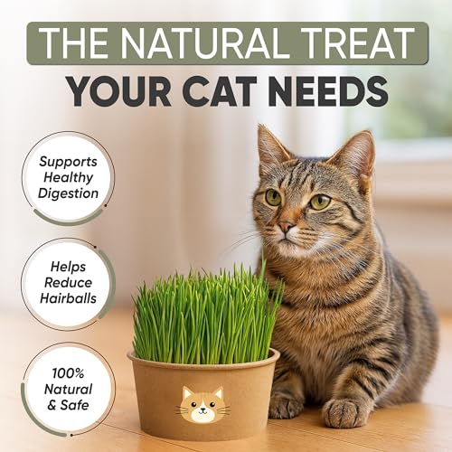 Image of Cat Grass Kit for Indoor Cats - x3 Seed Packets | Cat Grass Seeds with Recyclable Planter & Coconut Coir Expanding Soil Discs - Wheatgrass Grass
