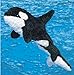 Douglas Spout Orca Killer Whale Plush Stuffed Animal - Want It All