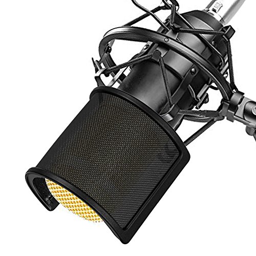 Limpieza Filtros Antipop Microfonos