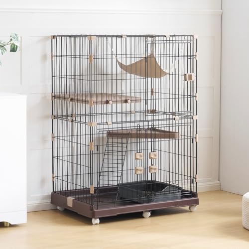 TopCloud L P[W 2i 1i2i\ J LX^[t LbgP[W ^  LbgnEX lR nEX i  ی Eh~  (u)