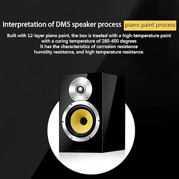 120W 4 Ohm DM5 Wooden Amplifier Speaker Bullet Bass Bookshelf Speaker Preposition HiFi Passive Fever Speaker