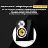 120W 4 Ohm DM5 Wooden Amplifier Speaker Bullet Bass Bookshelf Speaker Preposition HiFi Passive Fever Speaker