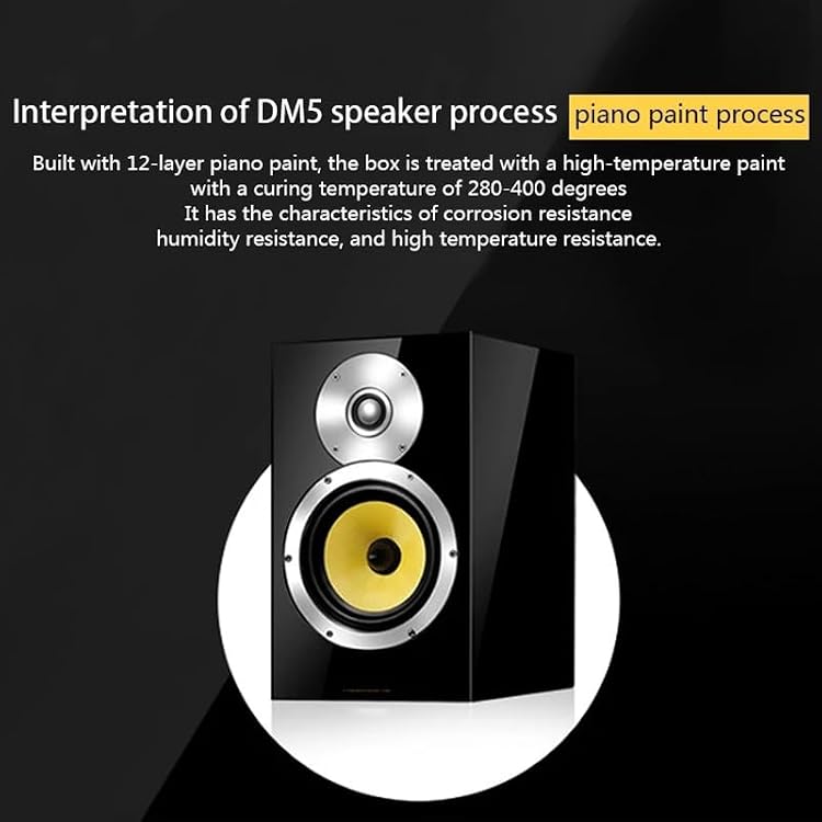 120W 4 Ohm DM5 Wooden Amplifier Speaker Bullet Bass Bookshelf Speaker Preposition HiFi Passive Fever Speaker