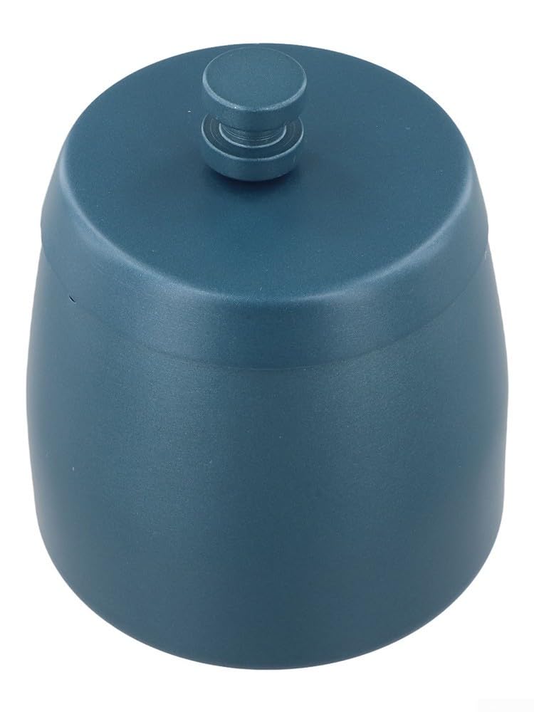 Colector de cenizas con tapa, diseño de acero inoxidable para interior y exterior (azul)
