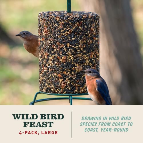 Image of Mr. Bird WildBird Feast Cylinder, 4-Pack, 4 lbs