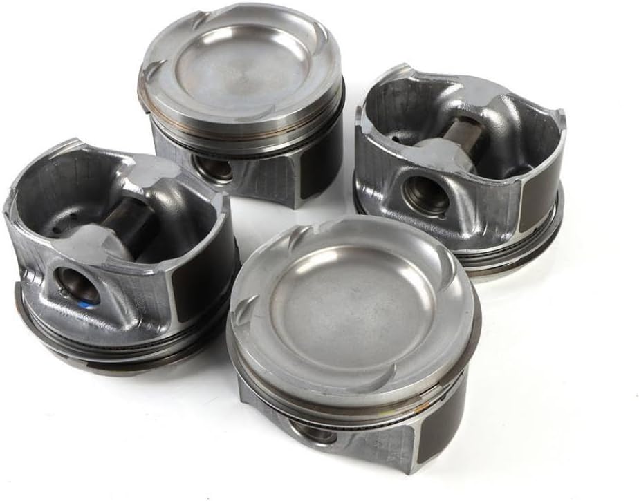 カレン ホイプティング 「太陽の下で」44/800 カレン ホイプティング