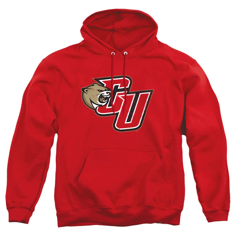 LOGOVISION Official Collegiate Distressed Primary Logo Adult Pullover Hoodie Collection — view 260