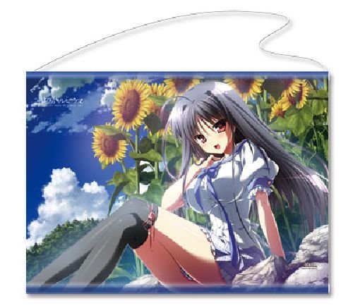 リセ　夏空のペルセウス 遠野 恋  庄名泉石金箔押しサイン Amazon.co.jp: 夏空のペルセウス タペストリー B 遠野恋 : ホビー
