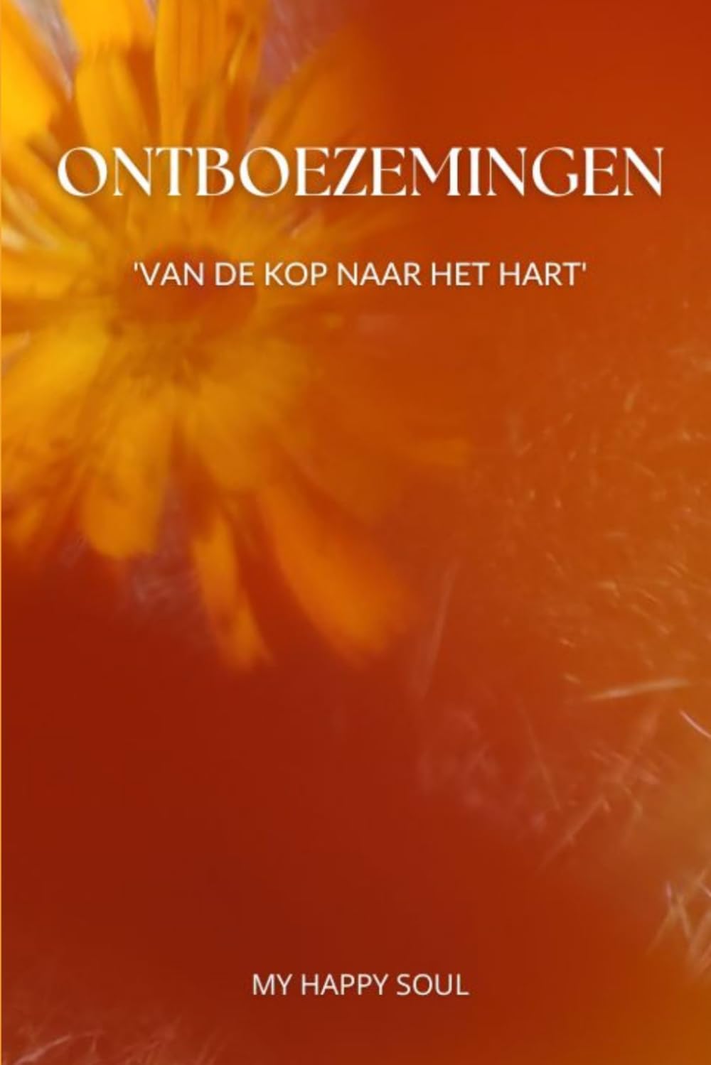 Ontboezemingen: Van de kop naar het hart