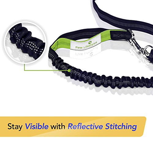 Paw Lifestyles Retractable Hands Free Dog Leash W/Smartphone Pouch – Dual Handle Bungee Waist Leash For Up To 150 Lbs Large Dogs #TOP3