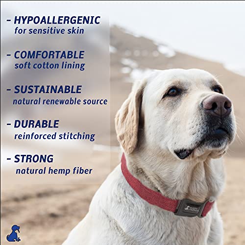 Fuzzy Friends Khaki Hemp Dog Collar. Hypoallergenic Dog Collar Great For Sensitive Skin Or Allergies. 5 Sizes: X-Small, Small, Medium, Large Or X-Large Breeds With No Harsh Dyes Or Chemicals #TOP2