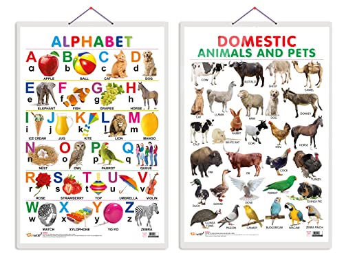 Image of GO WOO Combo of 2 (Alphabet and (Domestic Animals and Pets) Educational Posters for Preschool Kids Classroom Study | Learning- Charts for Kids Learning (20 inchX30 inch Inches)