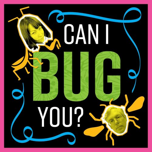 『Can I Bug You?』のカバーアート