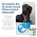 Gelenktabletten Hund - JOINTSURE Premium Gelenk Kapseln, 300 Tabletten mit Glucosamin, Gelenkpulver & Grünlippmuscheln, für verbesserte Mobilität & Gelenkgesundheit bei Hunden
