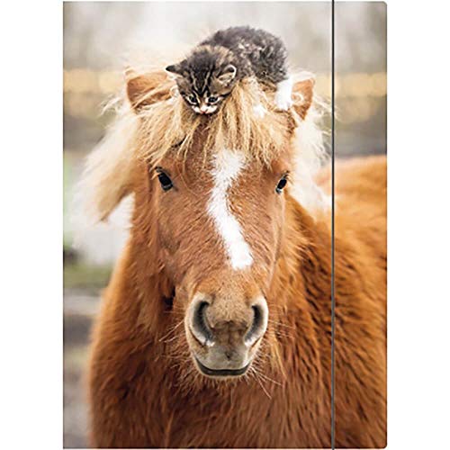 RNK VERLAG Chemise à dessincheval, format A4