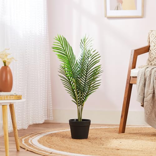 Image of amazon basics Artificial Areca Plant in Black Plastic Pot | Realistic 70 cm Faux Greenery | Durable Plastic | Stylish & Compact | Zero Maintenance | Indoor, Outdoor, Home & Office Decor