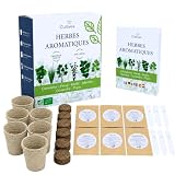CULTIVEA® Kit Hierbas Aromáticas Interior – 6 Plantas Aromáticas para Cultivar en Casa – Albahaca, Menta, Perejil, Tomillo, Cebollino y Cilantro – Mini Huerto Urbano Cocina – Idea de Regalo