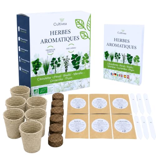 CULTIVEA® Kit Hierbas Aromáticas Interior – 6 Plantas Aromáticas para Cultivar en Casa – Albahaca, Menta, Perejil, Tomillo, Cebollino y Cilantro – Mini Huerto Urbano Cocina – Idea de Regalo