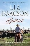 Gabriel: A Young Brothers Novel (Coral Canyon™ Cowboys Book 6)