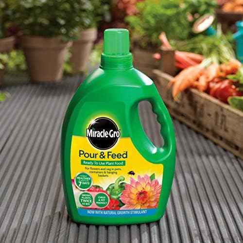 Miracle-Gro 119643 Pour & Feed Ready to Use Liquid Plant Food, 3 Litre, Green
