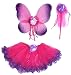 4 Pc Hot Pink & Purple Fairy Set with Wings, Rosebud Wand and Headband