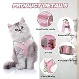 FINEASY No Pull Dog Harness with Lead and Collar, Reflective Harness, Anti Pull Dog Harness, Adjustable Soft Padded Pet Vest Harness for Dogs Cats (Pink, S) - Image 5