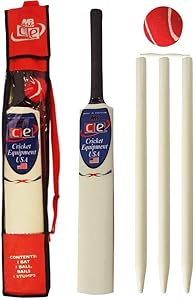 Junior Cricket Bat Set Wooden Gift Size 4, 6 Includes Stumps Ball Bat Carrying Bag