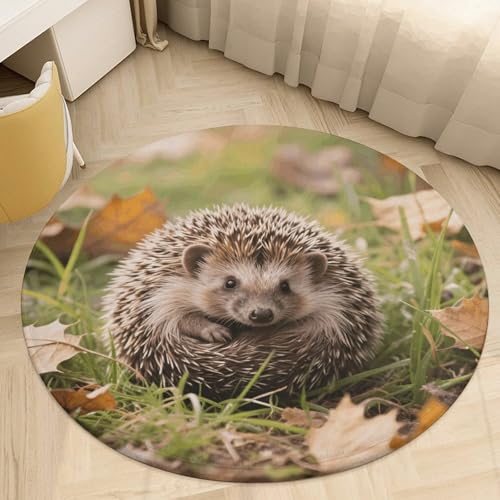 �v���b�V�� �R�[���� �x���x�b�g ���E���h �G���A���O 2.5�t�B�[�g �ɔ� 0.5 cm �n���l�Y�~�t���A�}�b�g ����~�� TPR���n ��p�C�� ����\ �E�F���J���t�����g�h�A�}�b�g �Q�� ���ւ̑����p