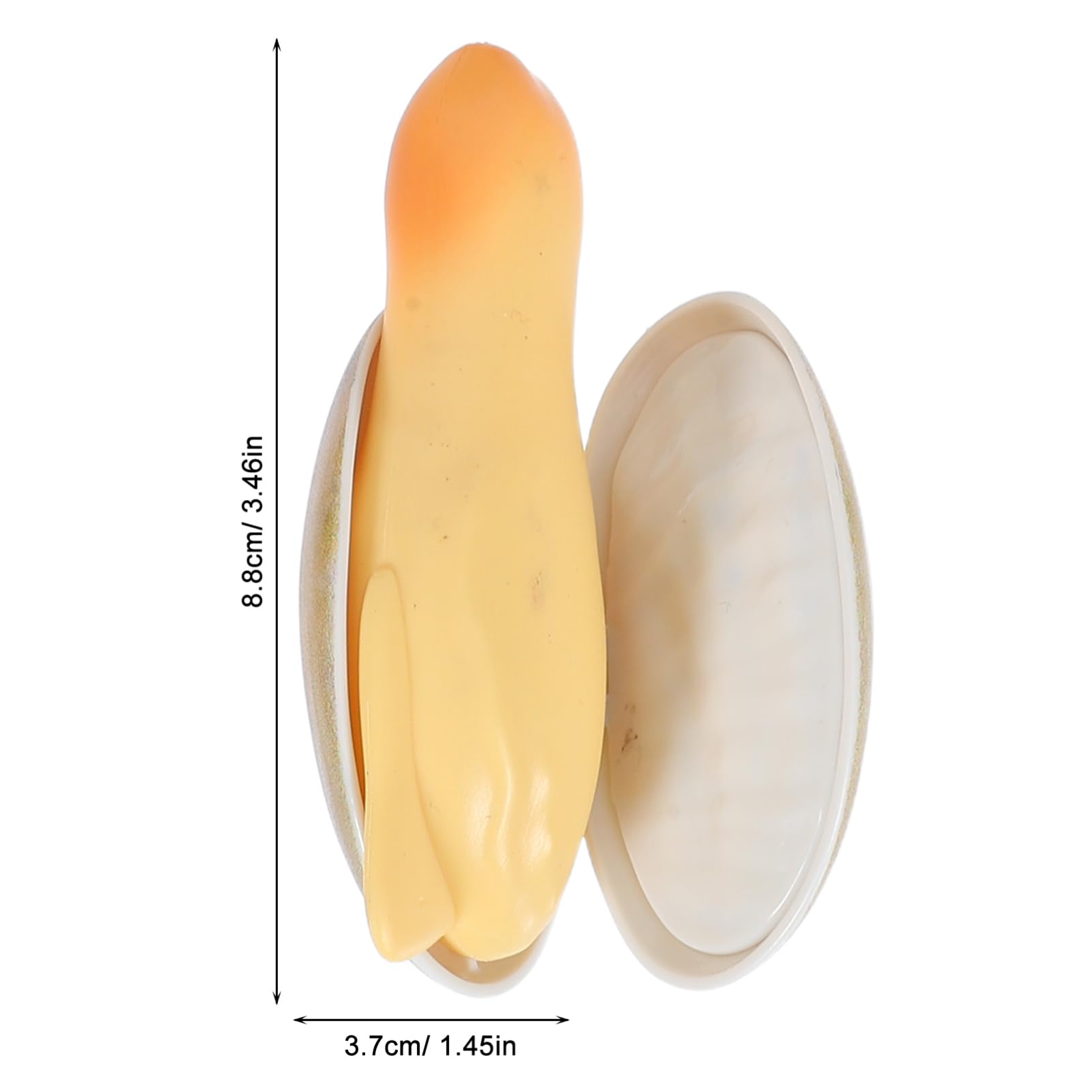 YARNOW 4Pcs Shell Shape Water Squirters for Outdoor Fun for and Pranks Easy to Use for Beach and Pool Activities