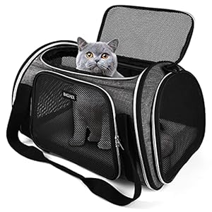 BAGLHER Pet Travel Carrier, Airline Approved Cat Carriers, Dog Carrier,Suitable for Small and Medium-Sized Cats and Dogs Pet Soft Carrier, Suitable for Travel, Hiking, and Outdoor Use. Grey
