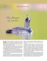 Loon and Chicks: Complete Step-By-Step Instructions for Carving and Painting an Adult Common Loon and Its Young 1945550139 Book Cover