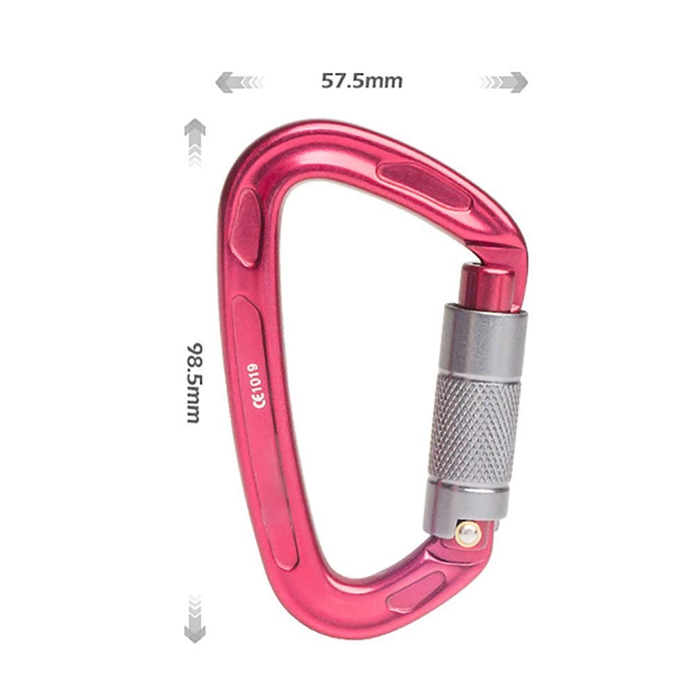 Mosquetón Grande, Gancho de Clip, 2 Paquetes de Anilla en D de aleación de Aluminio de Alta Resistencia, mosquetón Grande automático, Gancho de Clip para Llavero, superduradero (Plata, 99 x 58 mm)