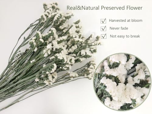 Ramo de flores secas Sea Lavender y Myosotis 22 pulg miniatura 2